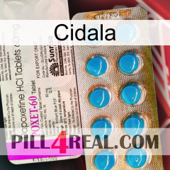 Cidala new07